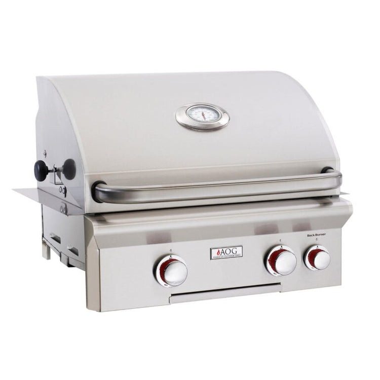 American Outdoor Grill 24 inch T Series Built-In Natural Gas Grill with Back Burner