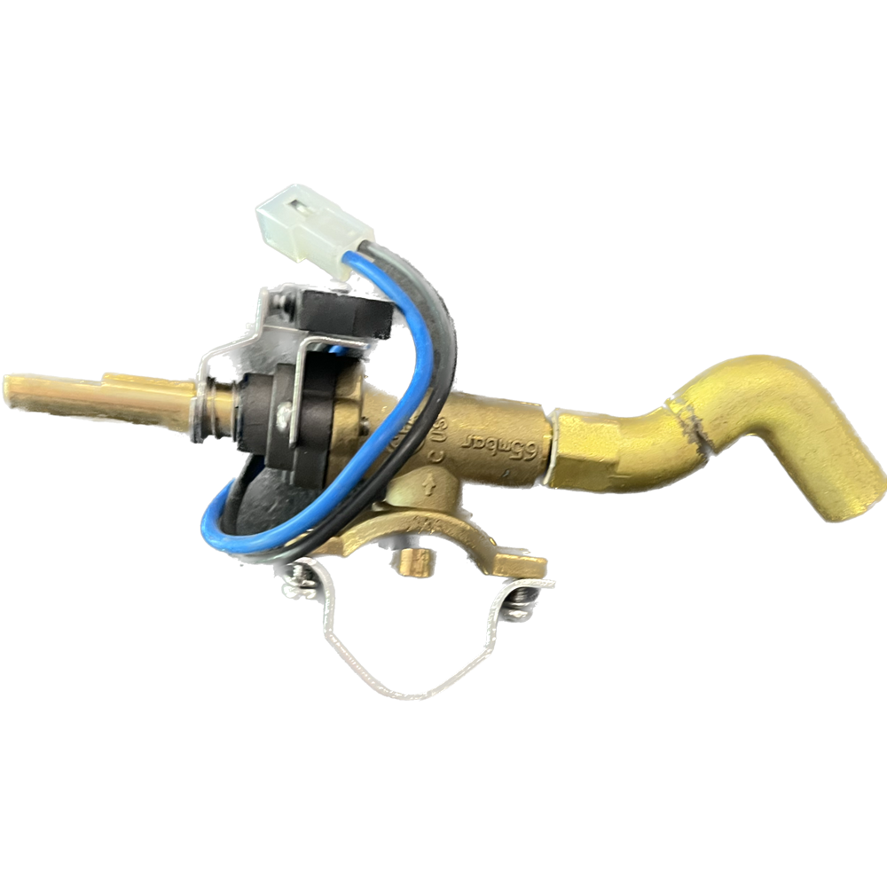Fire Magic Push to Light Valve Assembly Valves