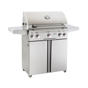 American Outdoor Grill 30 inch T Series Portable Propane Grill with Back Burner