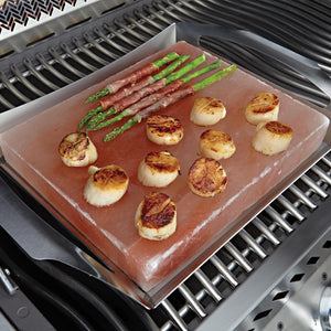 napoleon-himalayan-salt-block-with-holder