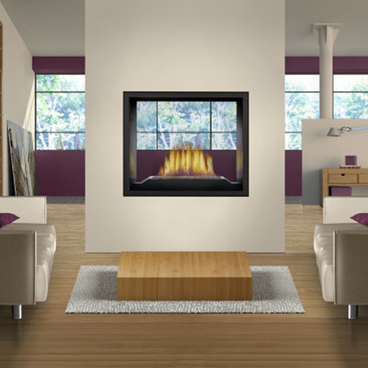 Napoleon High Definition 81 Direct Vent See-Thru Fireplace - HD81NT-1