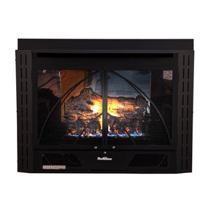 Buck Stove 34 Contemporary Natural Gas