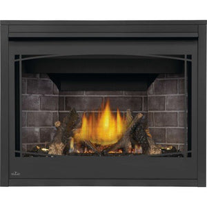 Napoleon Ascent X 42 Direct Vent Fireplace, LP, Electronic Ignition Propane