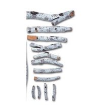 Amantii Birch 12 Piece Large Media Kit