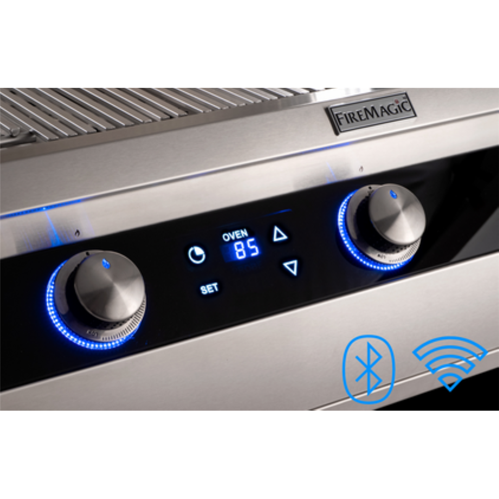 Fire Magic Echelon Built-In Natural Gas Grill With Digital Thermometer and Magic View Window E1060I-9E1N-W view 2