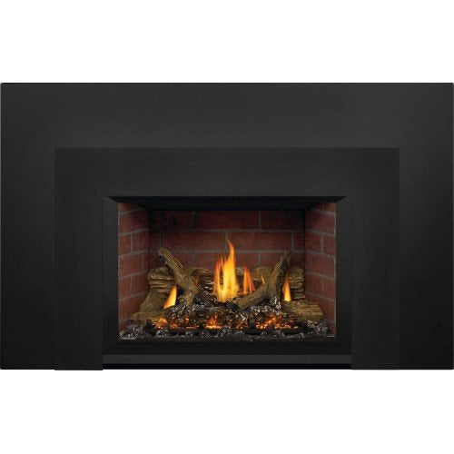 Napoleon Oakville X3 Gas Fireplace Insert, NG, Electronic Ignition