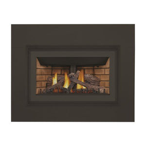 Napoleon Inspiration ZC Gas Fireplace Insert , NG, Millivolt Ignition