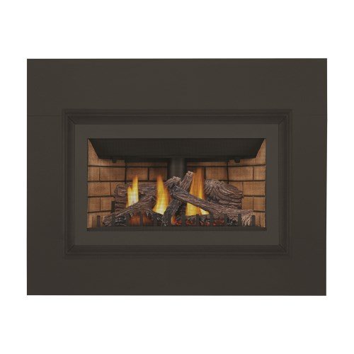Napoleon Inspiration ZC Gas Fireplace Insert , NG, Millivolt Ignition