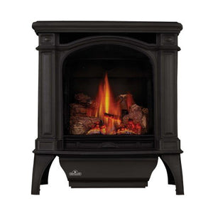 Napoleon Bayfield Black Direct Vent Natural Gas Stove, Electronic Ignition