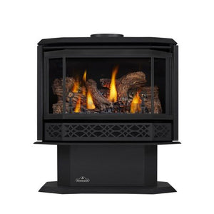 Napoleon Havelock Direct Vent Natural Gas Stove, Electronic Ignition Black