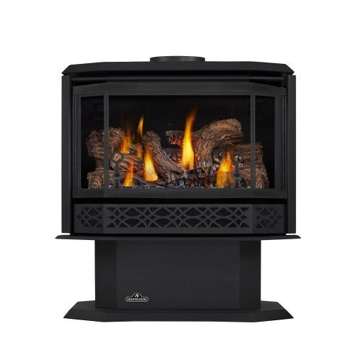 Napoleon Havelock Direct Vent Natural Gas Stove, Millivolt Ignition Black