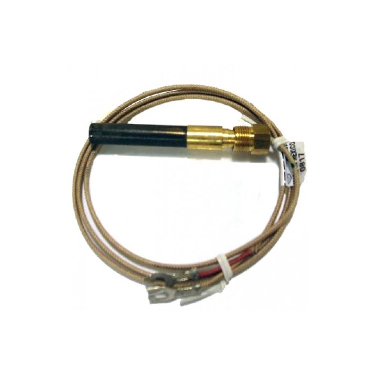 Real Fyre APK Pilot Generator (Thermocouple) Thermocouples