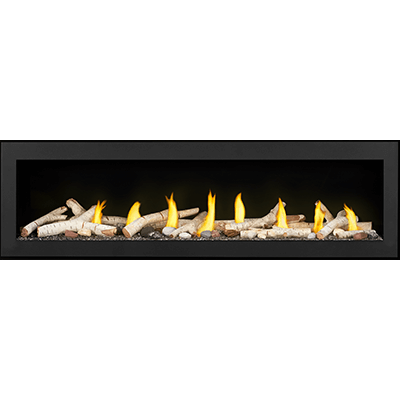 Napoleon Vector 62 Natural Gas, Direct Vent Fireplace with Electronic Ignition