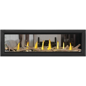 Napoleon Vector 62 See Through Natural Gas Direct Vent Fireplace with Electronic Ignition