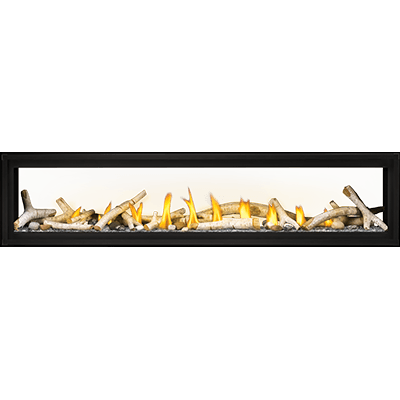 Napoleon Luxuria 74 See Through NG Direct Vent Fireplace with Electronic Ignition