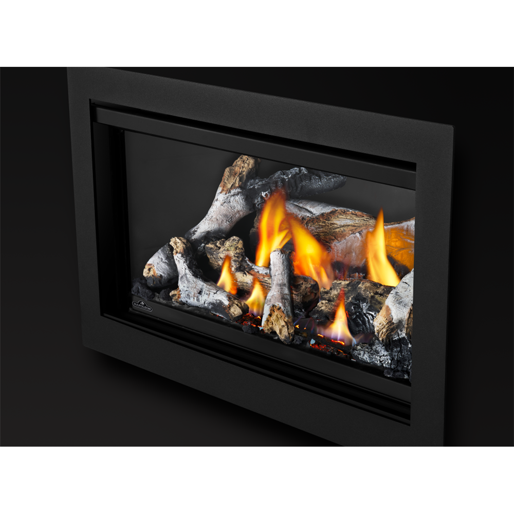 Napoleon Rosedale 2 Direct Vent, Natural Gas Insert view 3