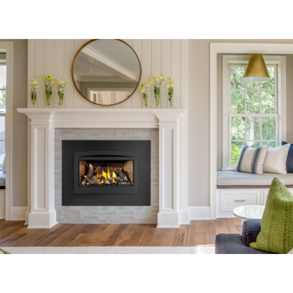 Napoleon Rosedale 2 Direct Vent, Natural Gas Insert view 2