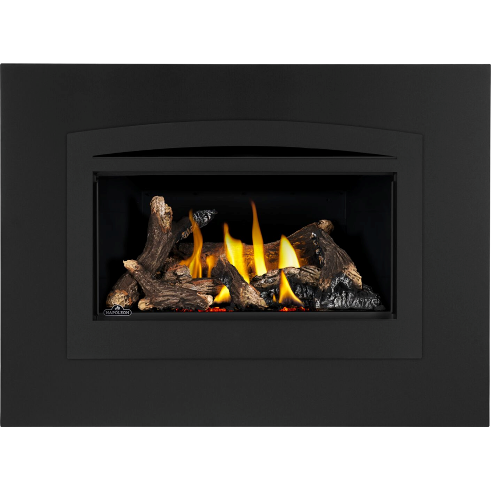 Napoleon Rosedale 2 Direct Vent, Natural Gas Insert