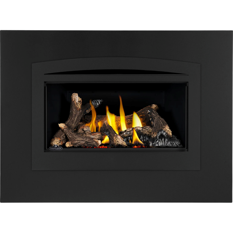 Napoleon Rosedale 2 Direct Vent, Natural Gas Insert