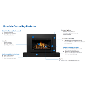 Napoleon Rosedale 3 Gas NG Insert with Electronic Ignition view 2