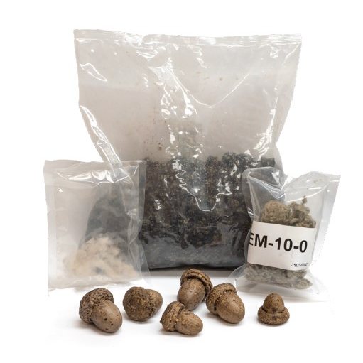 Real Fyre Vent-Free Refresh Kit