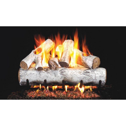 Clearance 24" White Birch Vented See Through Log Set