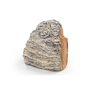 Real Fyre Charred Birch Decorative Wood Chunk